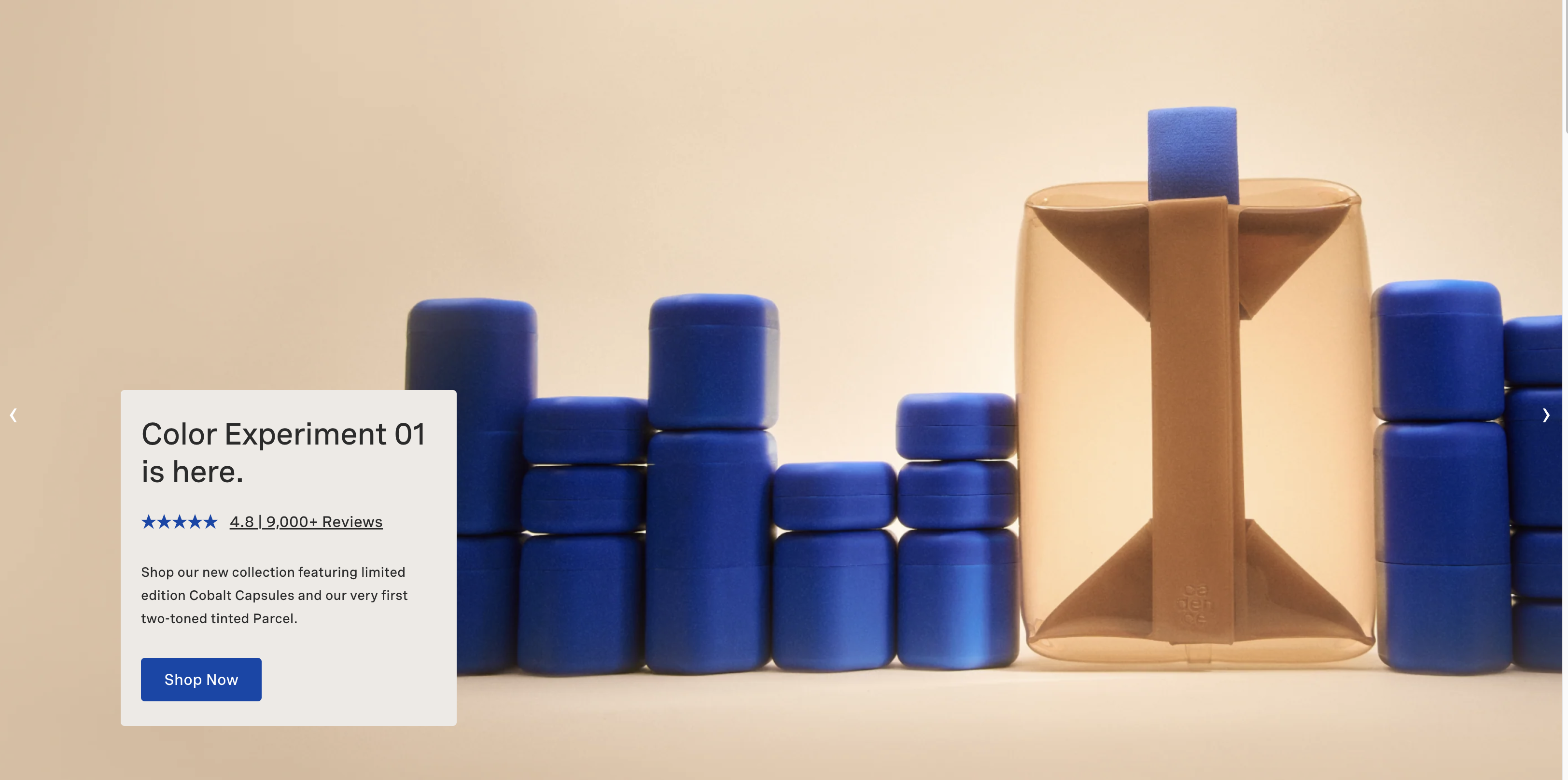 🏆 Stay Organized with Cadence Travel Containers